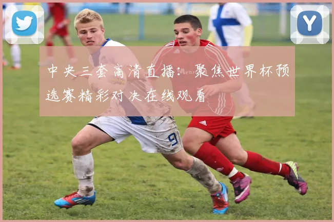 中央三套高清直播：聚焦世界杯预选赛精彩对决在线观看