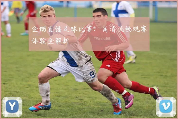 企鹅直播足球比赛：高清流畅观赛体验全解析