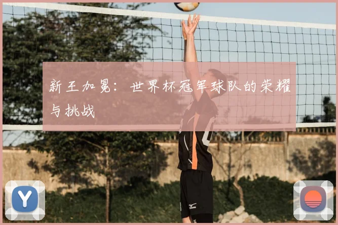 新王加冕：世界杯冠军球队的荣耀与挑战