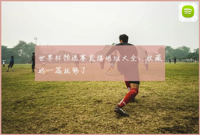 世界杯预选赛直播地址大全，收藏这一篇就够了